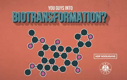 You Guys Into Biotransformation? logo